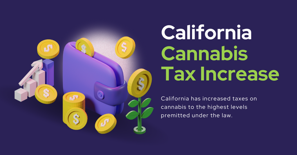 Gavin Newson's California Cannabis Tax Takes Effect - Highest Possible Taxation