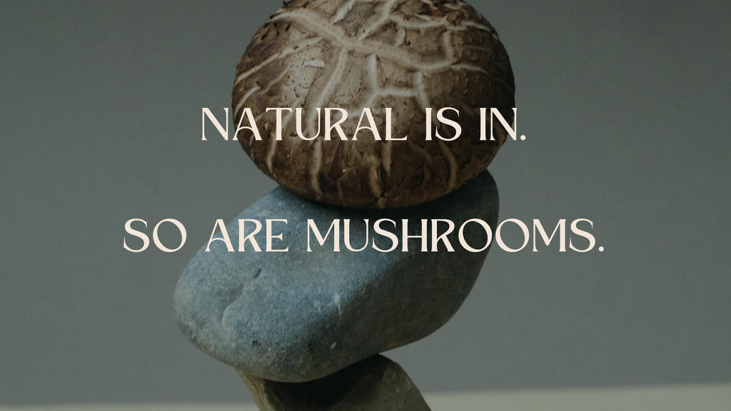 Why People Use Mushrooms: Nutrition, Medicine, and Beyond