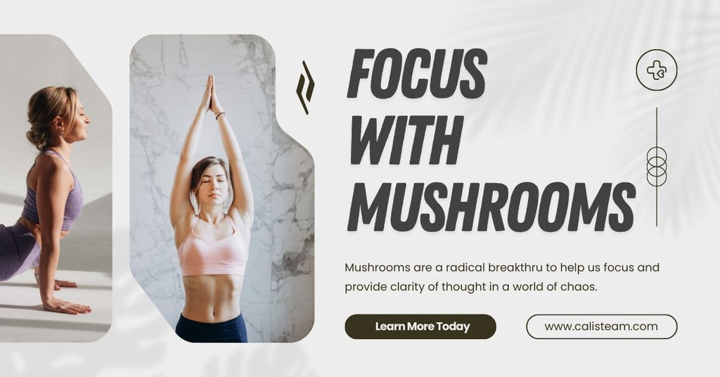 The Science Behind Lift Off Mushroom Gummies: Boosting Focus and Clarity Naturally